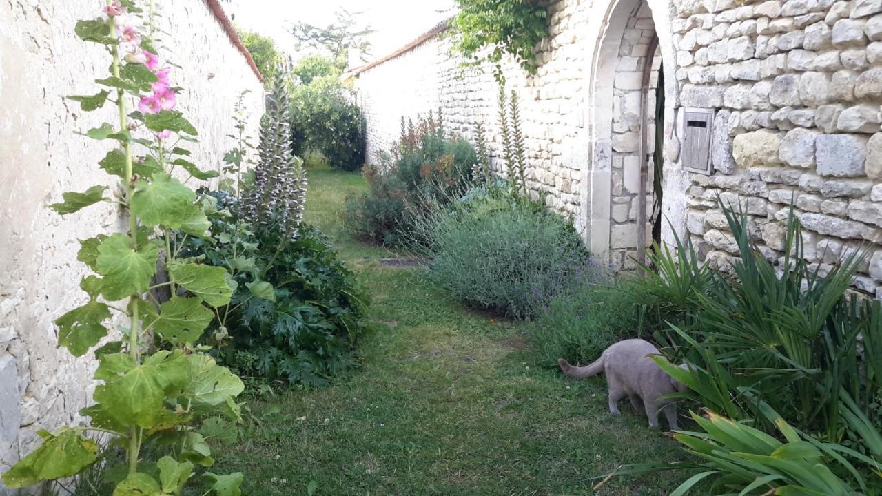 Les Jardins De Clerjotte Bed & Breakfast Saint-Martin-de-Ré Dış mekan fotoğraf